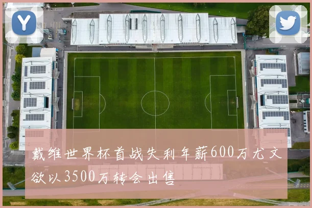 戴维世界杯首战失利年薪600万尤文欲以3500万转会出售